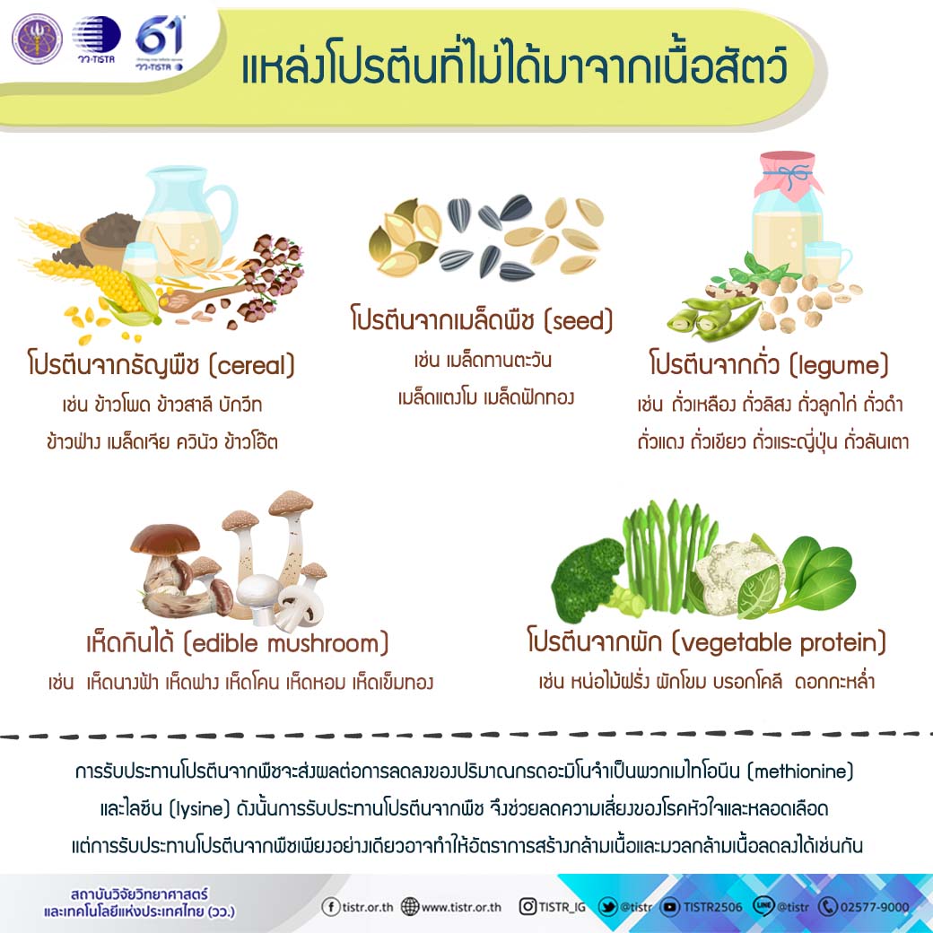 แหล่งโปรตีนที่ไม่ได้มาจากเนื้อสัตว์